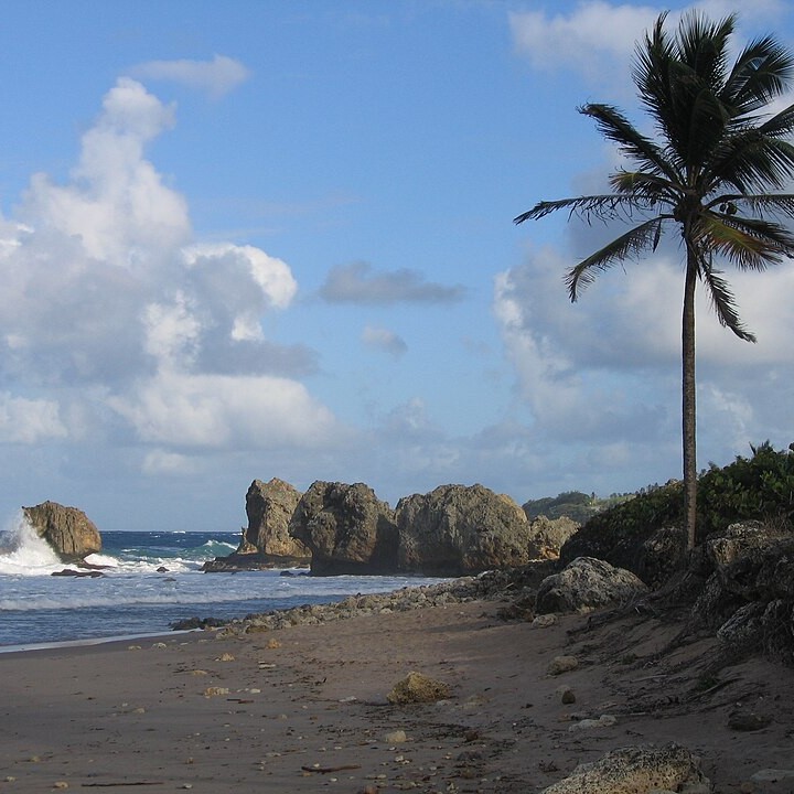 	St. Joseph 	